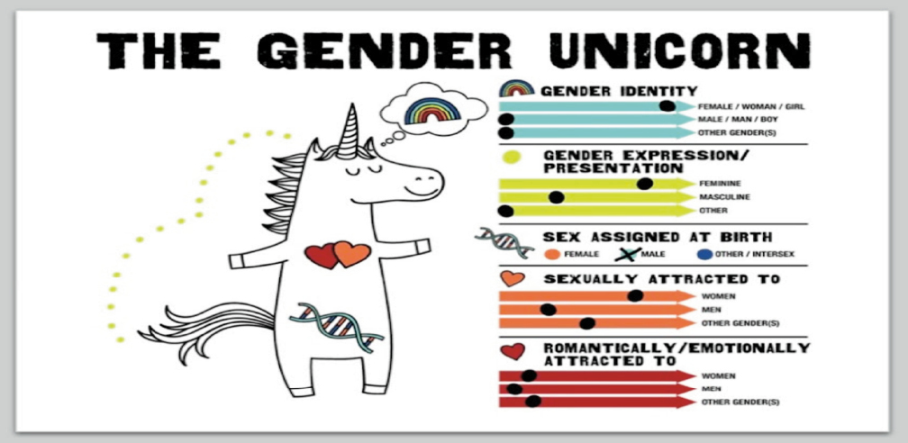 Gender Unicorn Ext Port Townsend Freepress